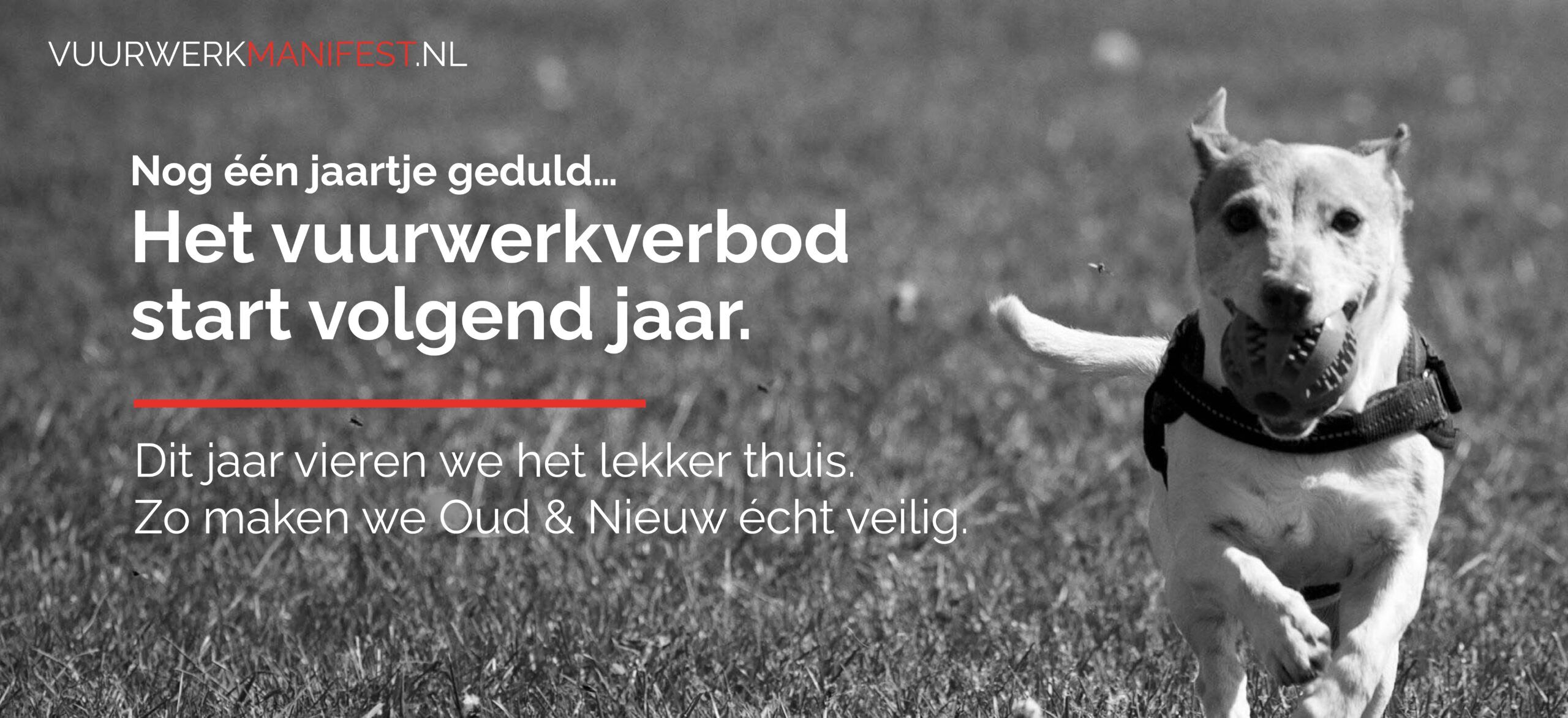 vuurwerkmanifest banner steun v2[1]