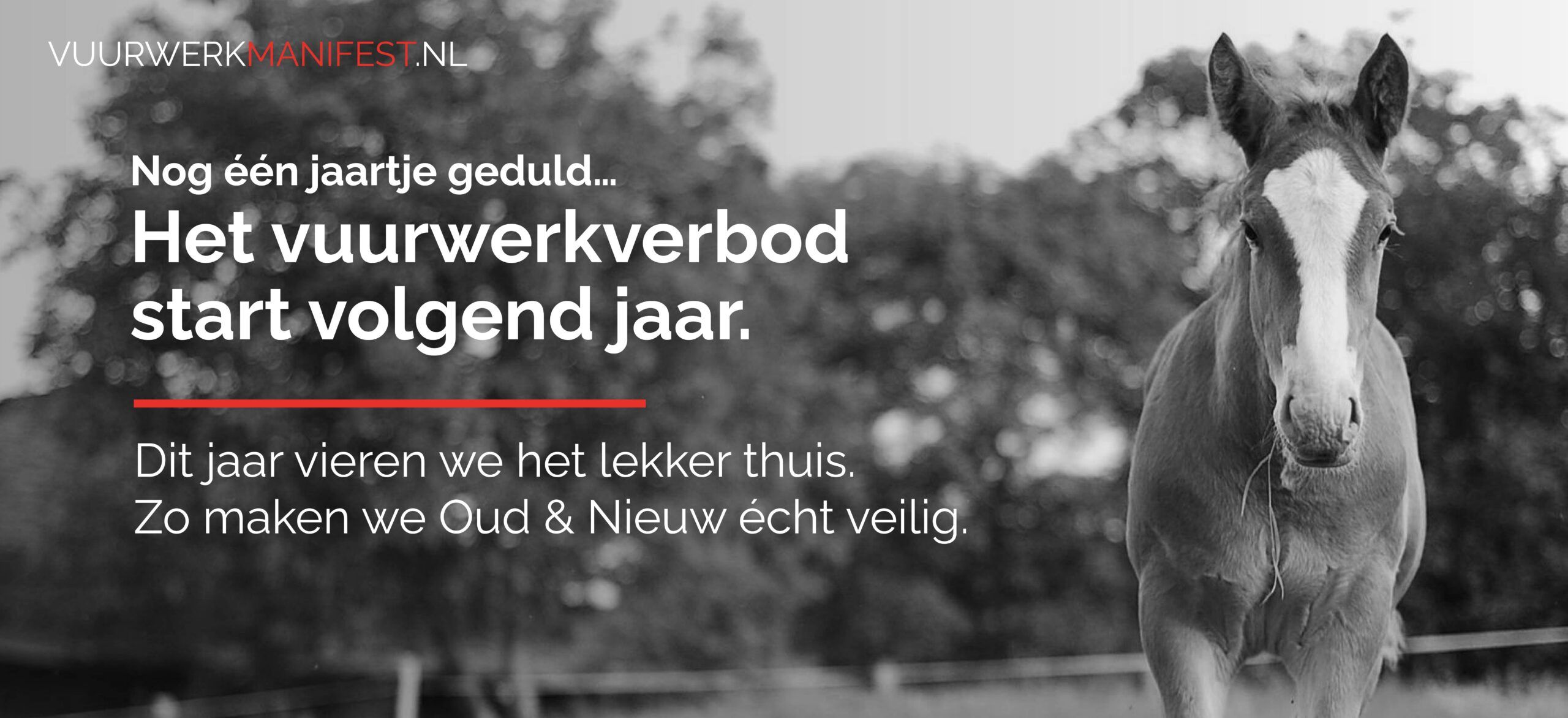 vuurwerkmanifest-banner-paarden