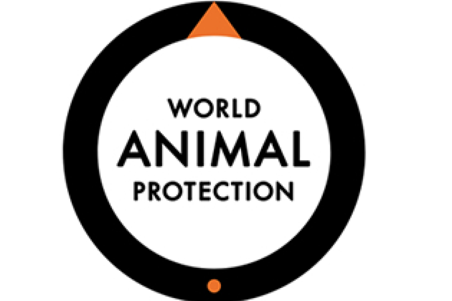 World Animal Protection